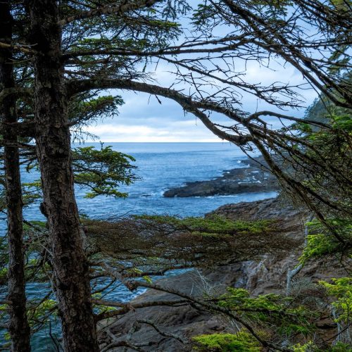adobestock_505434231