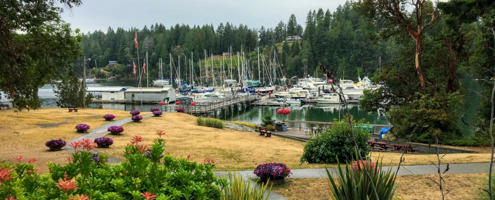 north cove anchorage Victoria International Marina