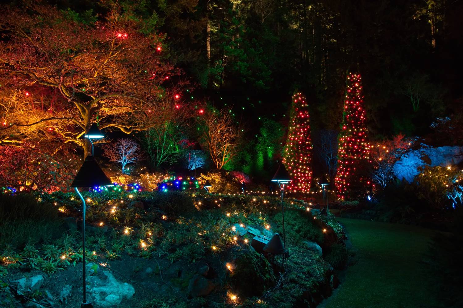 Christmas Light Up At Butchart Gardens