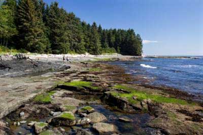 coastalscene