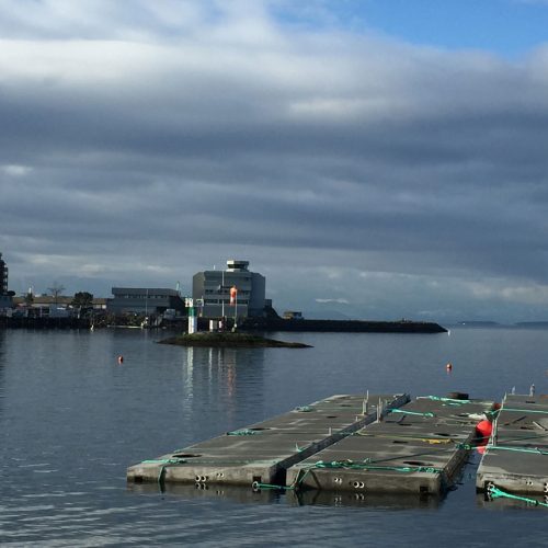 Victoria International Marina Luxury Yacht Moorage, Victoria, BC