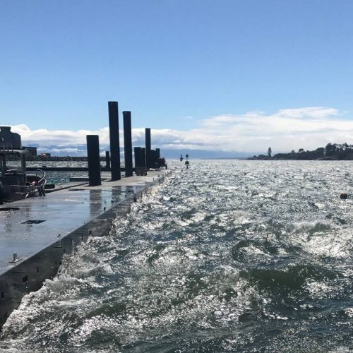 Victoria International Marina Luxury Yacht Moorage, Victoria, BC