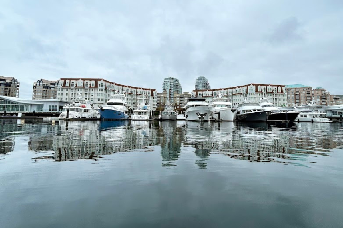 Superyachts moored at Victoria International Marina on a calm, overcast winter day, with still water reflecting the vessels and surrounding waterfront buildings.